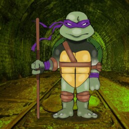 Ninja Turtle illustration
